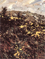 Robert Jones book cover